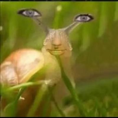 strawburyme_'s profile picture. nós vivemos em cidades