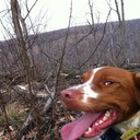 Mark Grasso - @MarkGrasso206 - Twitter