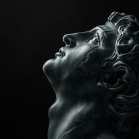 The Arcturian (@sambeckett__) 's Twitter Profile