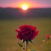 Radha rani (@radhara08881310) Twitter profile photo Radha rani (@radhara08881310) Twitter profile photo