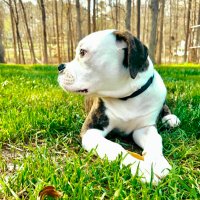 Duane (@duanehorta) 's Twitter Profile