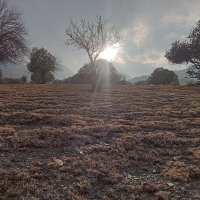Afghan 🇦🇫 (@afghan_000) 's Twitter Profile