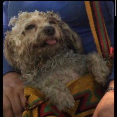 cleoocleoo_'s profile picture. 