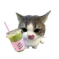 Kiyoshi Kazu 🥒 (@kazu2k4) 's Twitter Profile