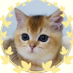 ããããšããã«ãã (@iikotoarunyan) Twitter profile photo ããããšããã«ãã (@iikotoarunyan) Twitter profile photo
