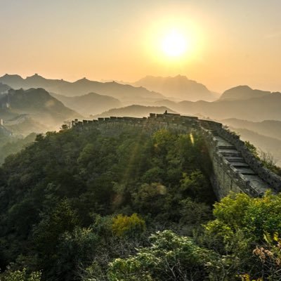 econmustX's profile picture. 