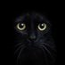L E O N (@lokalpendaki) Twitter profile photo L E O N (@lokalpendaki) Twitter profile photo