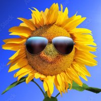 SunShine (@kindofab) 's Twitter Profile