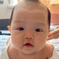 Big baby (@dushulang) 's Twitter Profile