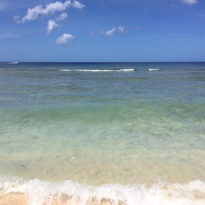 leon_ayaka's profile picture. Famm3学期WEBデザイン卒業生です★