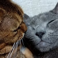 zero765 (@zero7652) 's Twitter Profile