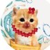 ชลน แมวส้มแท้ๆ 🐱 ทั้งหัวใจมีแต่หมาแดง (@chaleenajaja) Twitter profile photo ชลน แมวส้มแท้ๆ 🐱 ทั้งหัวใจมีแต่หมาแดง (@chaleenajaja) Twitter profile photo