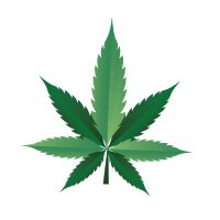 Canna Connect | Connecting Minnesotans Over 🪴 (@cannadotmn) 's Twitter Profile Photo Canna Connect | Connecting Minnesotans Over 🪴 (@cannadotmn) 's Twitter Profile Photo