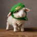 BAA BAA zZzZ (@watchmesheep) Twitter profile photo BAA BAA zZzZ (@watchmesheep) Twitter profile photo