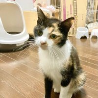 みーちゃんママ (@olrk36s5w260860) 's Twitter Profile Photo