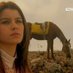 nora 💞🇯🇴 (@noraismail1334) Twitter profile photo nora 💞🇯🇴 (@noraismail1334) Twitter profile photo