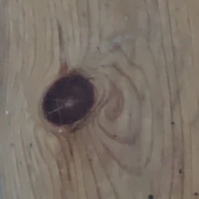 thecrimsontide5's profile picture. 