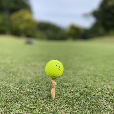 大号退圈,小号聊闲,看新闻,看美女,看风景,看人生
现居住SD、BJ、SH、LA,⛳️夫妻二人可背着球包飞全球。