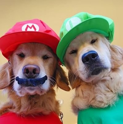 SaBong4Ever's profile picture. Newbie