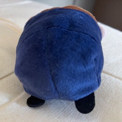 @pomepome_cute2 の鍵垢のほうです 自我強め うるさいので通知OFF推奨 表で言えないことは基本こっち