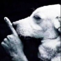 Check Recent post (@jojorabbitss) 's Twitter Profile