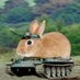 ラビットタンク (@rabbit_tank2017) Twitter profile photo ラビットタンク (@rabbit_tank2017) Twitter profile photo