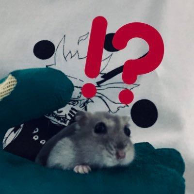 Olcjunjunkita4's profile picture. JUN時ュンジュン 洛星66期弓道部 神大 工学部 電電