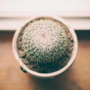 ClausSeibe97438's profile picture. 