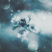 りつ (@ritu_silent) 's Twitter Profile