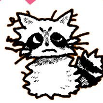 pamela_raccoon's profile picture. Hi, I'm a raccoon studying graphic design. Please let me know where is the nearest dumpster in this town! 그래픽디자인 라쿤