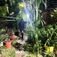 trail mix 🇵🇸 (@daysoftheweekes) 's Twitter Profile
