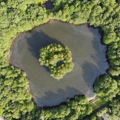 JarOnEarth's profile picture. 