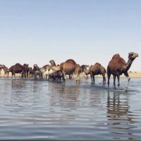 ghassen (@ghaston12) 's Twitter Profile