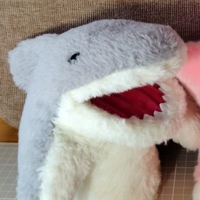 yoriyori0077's profile picture. 