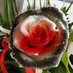 Ina Meuzelaar (@inameuzelaar) Twitter profile photo Ina Meuzelaar (@inameuzelaar) Twitter profile photo
