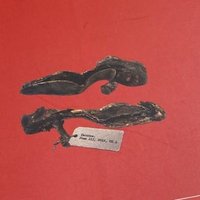 Esther López Barceló ✍️ (@elba_celo) 's Twitter Profile Photo Esther López Barceló ✍️ (@elba_celo) 's Twitter Profile Photo