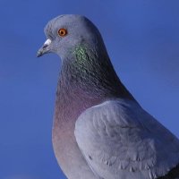 arsenis!@ (@arsenis_____3) 's Twitter Profile