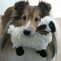doeve ꃋᴖꃋ ❤ (@pipipuppyluver) 's Twitter Profile