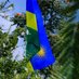 Chris Rwanda 🇷🇼 (@cizukobizaba) Twitter profile photo Chris Rwanda 🇷🇼 (@cizukobizaba) Twitter profile photo