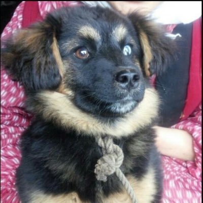 あやたんページ ♡あやたん♡ (@ayatan_daisuki) / X