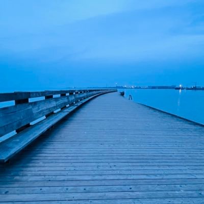 ESP32___'s profile picture. 