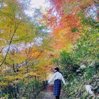 日常発信 / ハンドメイド / タイピング練習中⌨ / 夢 : 世界中の人が自分らしくやりたいことができる社会を創る!/