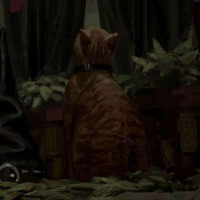 nullsirzh Profile