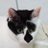 Enama11618's profile image