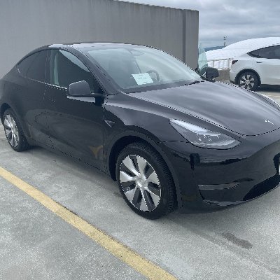 webcutter's profile picture. 