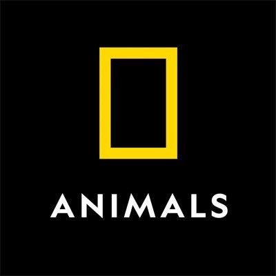 @NatGeoAnimals