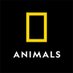 National Geographic Animals (@natgeoanimals) Twitter profile photo National Geographic Animals (@natgeoanimals) Twitter profile photo
