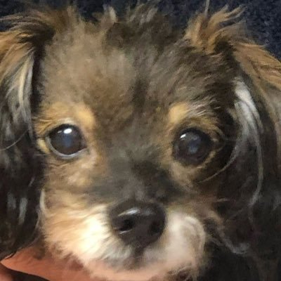 tako_tjtj's profile picture. 毎日を幸せな気持ちで過ごしたい🥳頑張ろう！日本🇯🇵