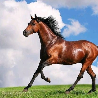 S69179Ebarasi's profile picture. Transforming your life