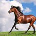 Ebarasi Stallion (@s69179ebarasi) Twitter profile photo Ebarasi Stallion (@s69179ebarasi) Twitter profile photo